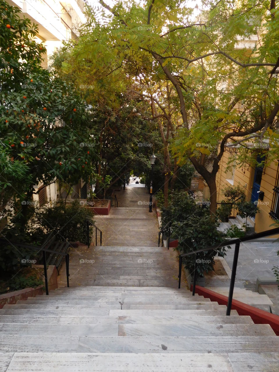 Steps of Athens