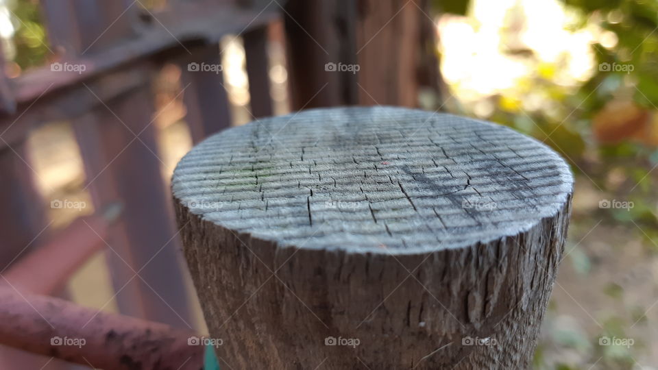Cut wood texture