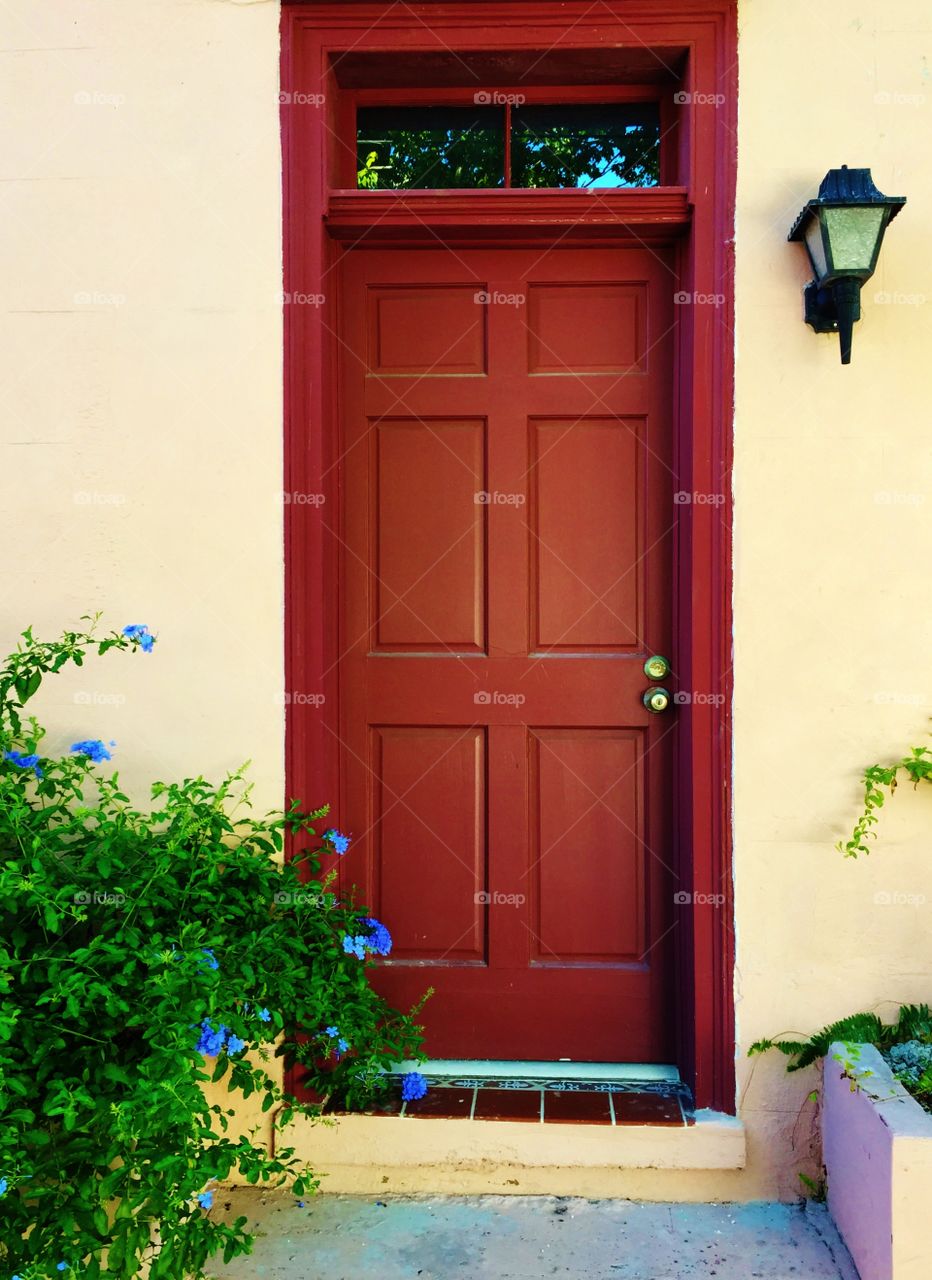 Front door with flowers