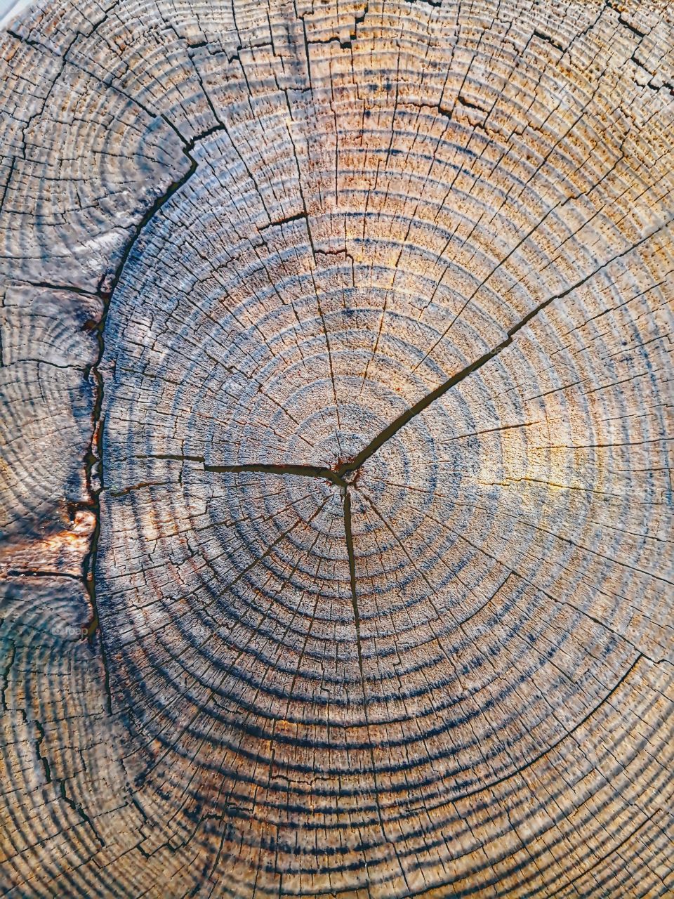 Circles of a lived life