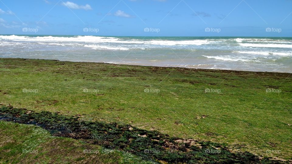 Porto de Galinhas, Pernambuco, Brazil