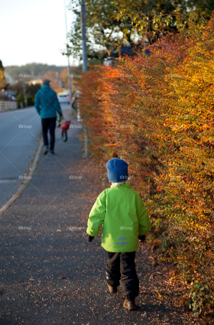 Autumn day. Autumn day 