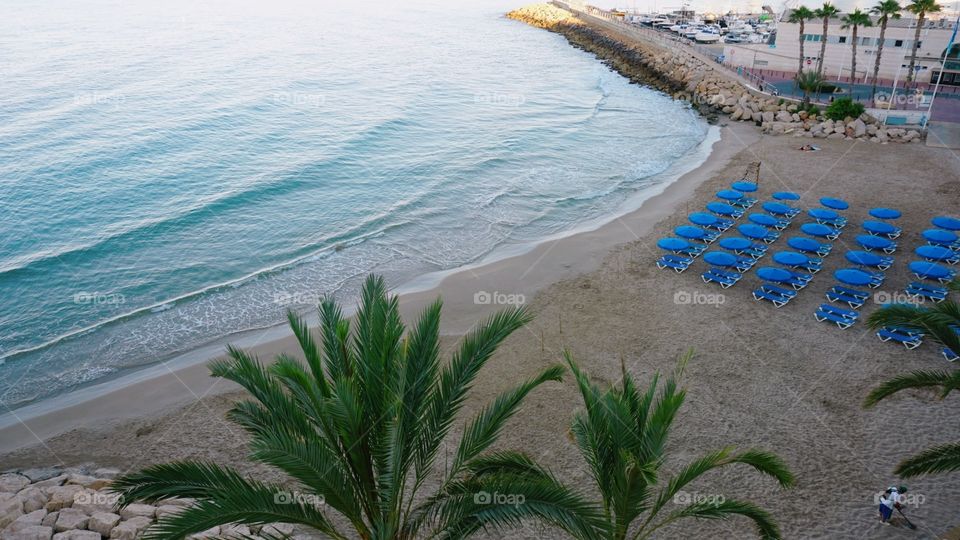 Beach#sea#morning#palms#parasols#sand