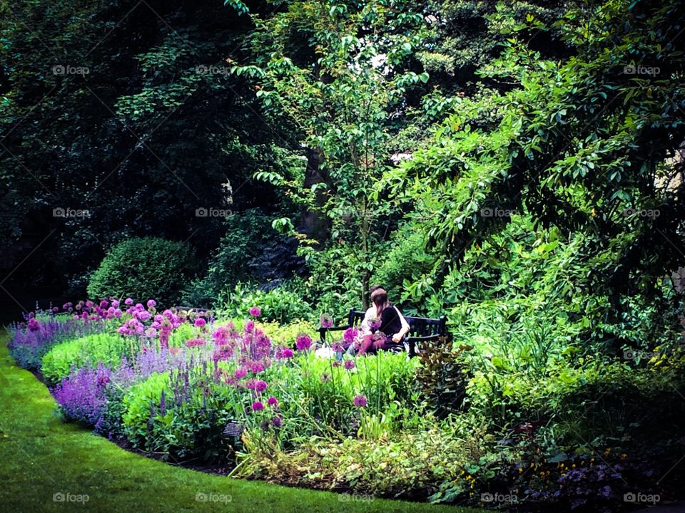 Love in the park. Couple in love in the Museum Gardens in York, England