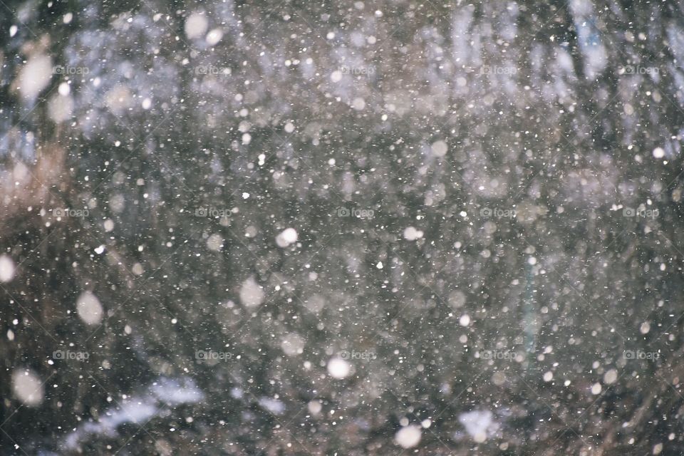 View of a falling snow