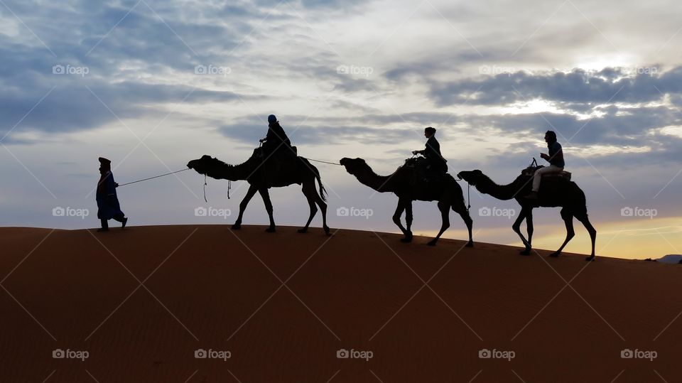 Sahara Desert | Morocco 2013
