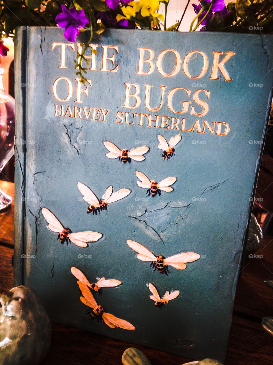 Book of bugs. Buzz!