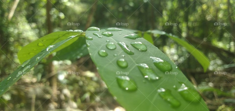 it has its own story behind, and it cant be revealed.