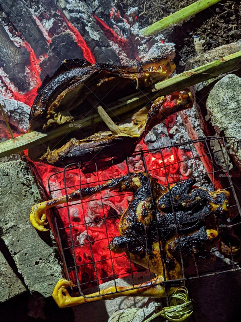 roast chicken and duck🍗🐔🦆