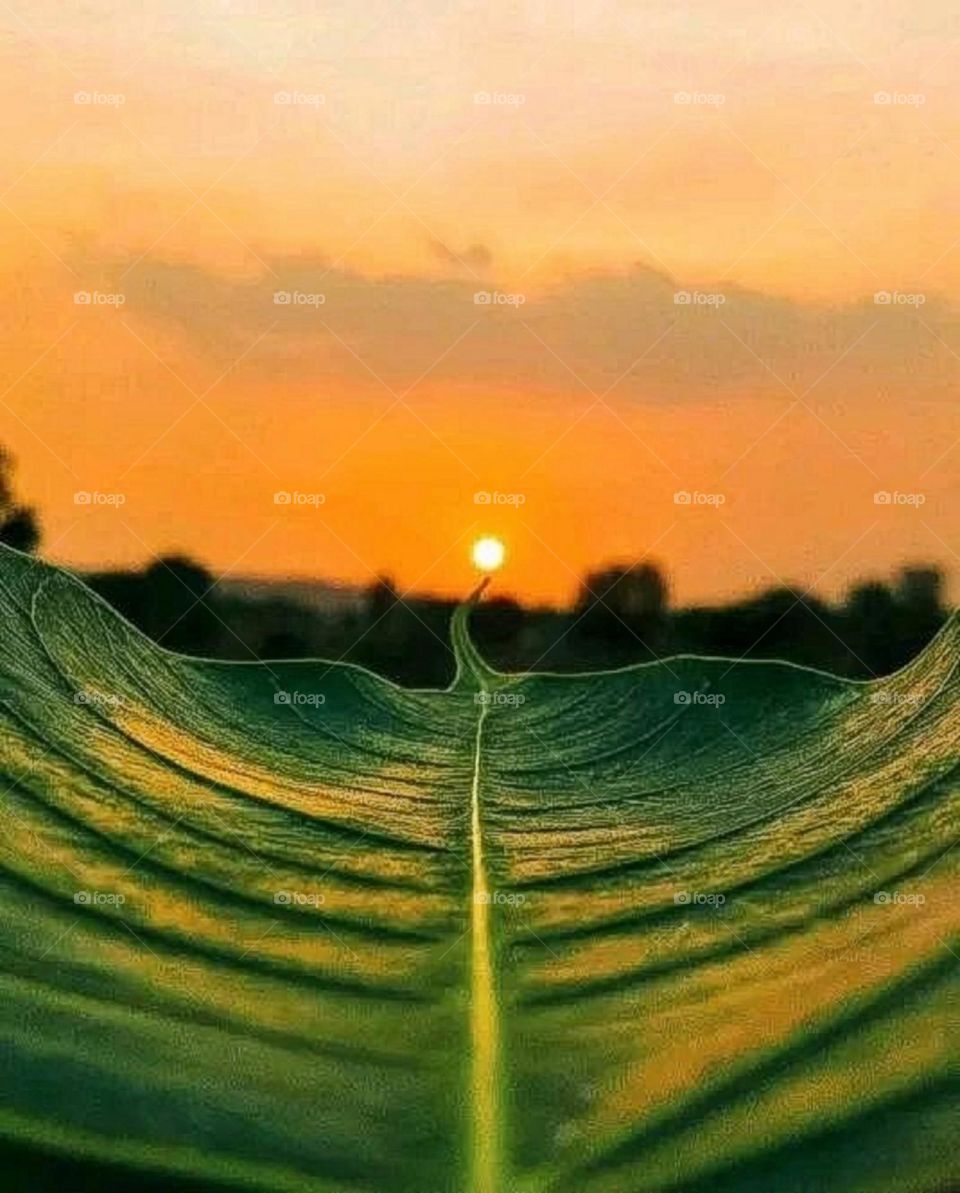A most beautiful and attractive view of the sunset.