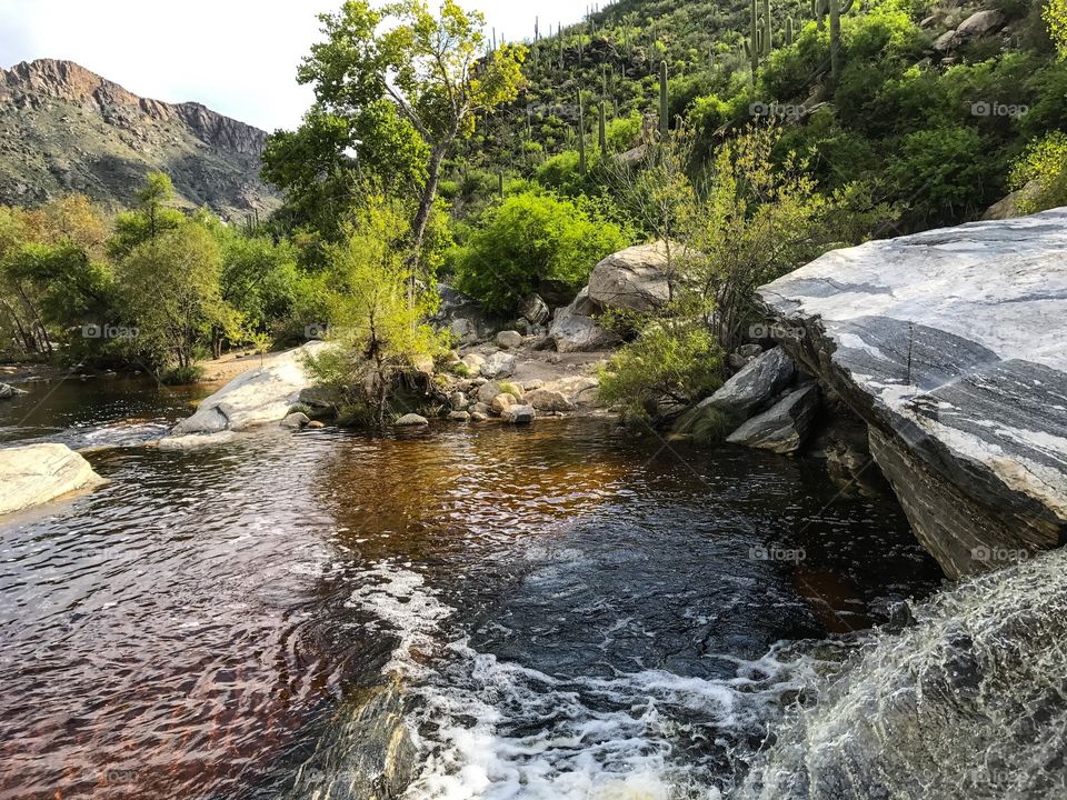 Nature Mountain Landscape - Sabino Canyon in Tucson, Arizona 