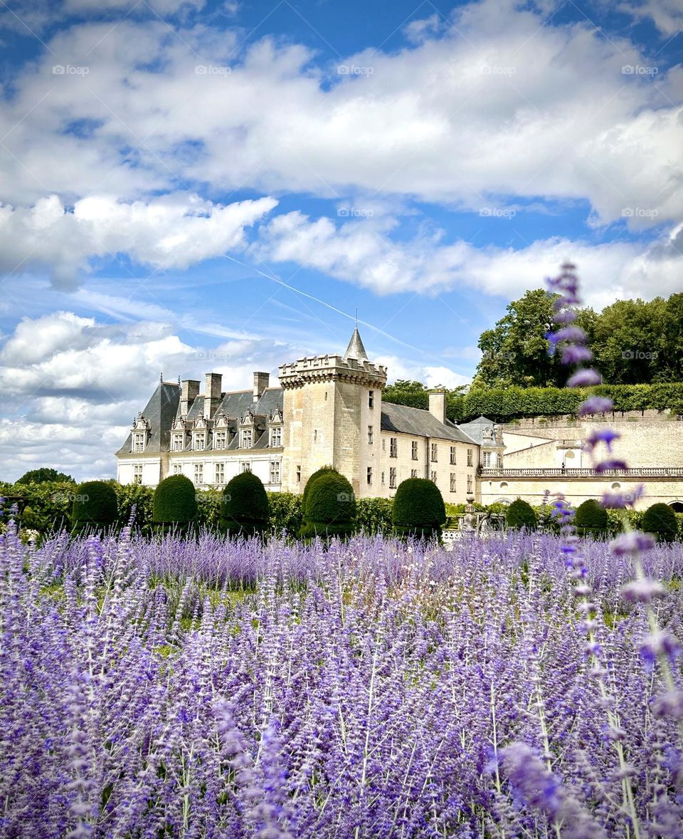 Villandry garden , Jully 2023 . 