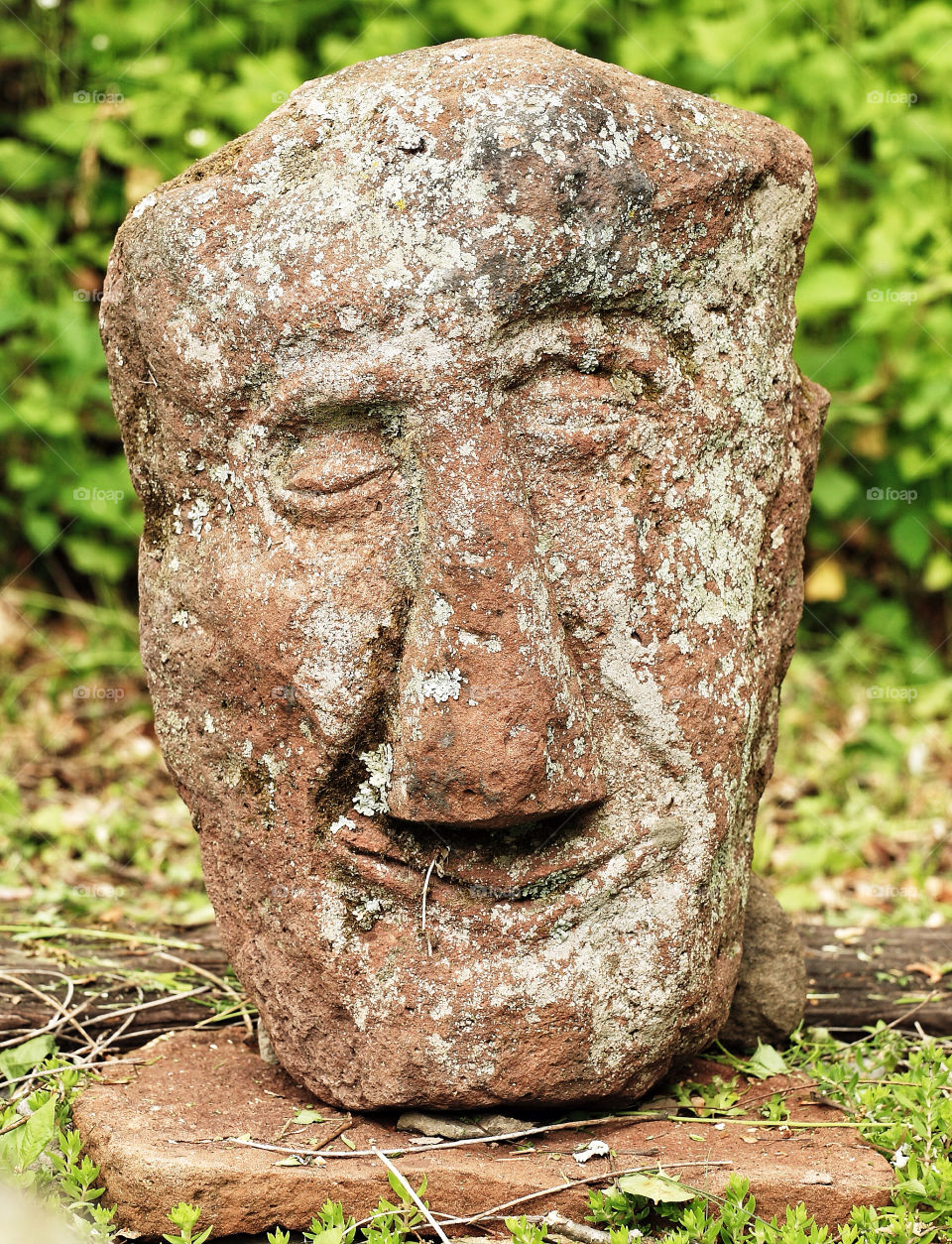 macro close face art by delvec