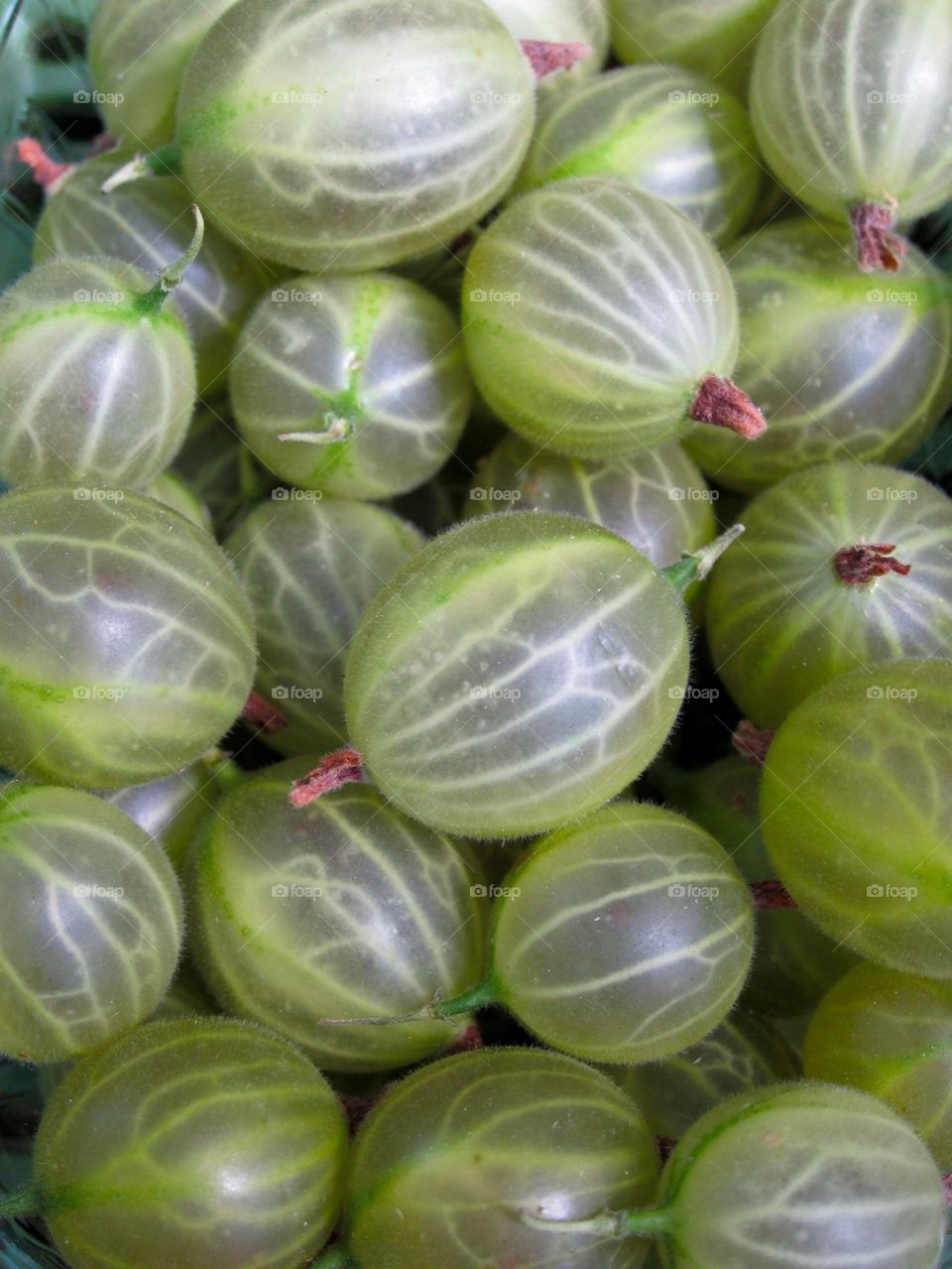 Gooseberries.