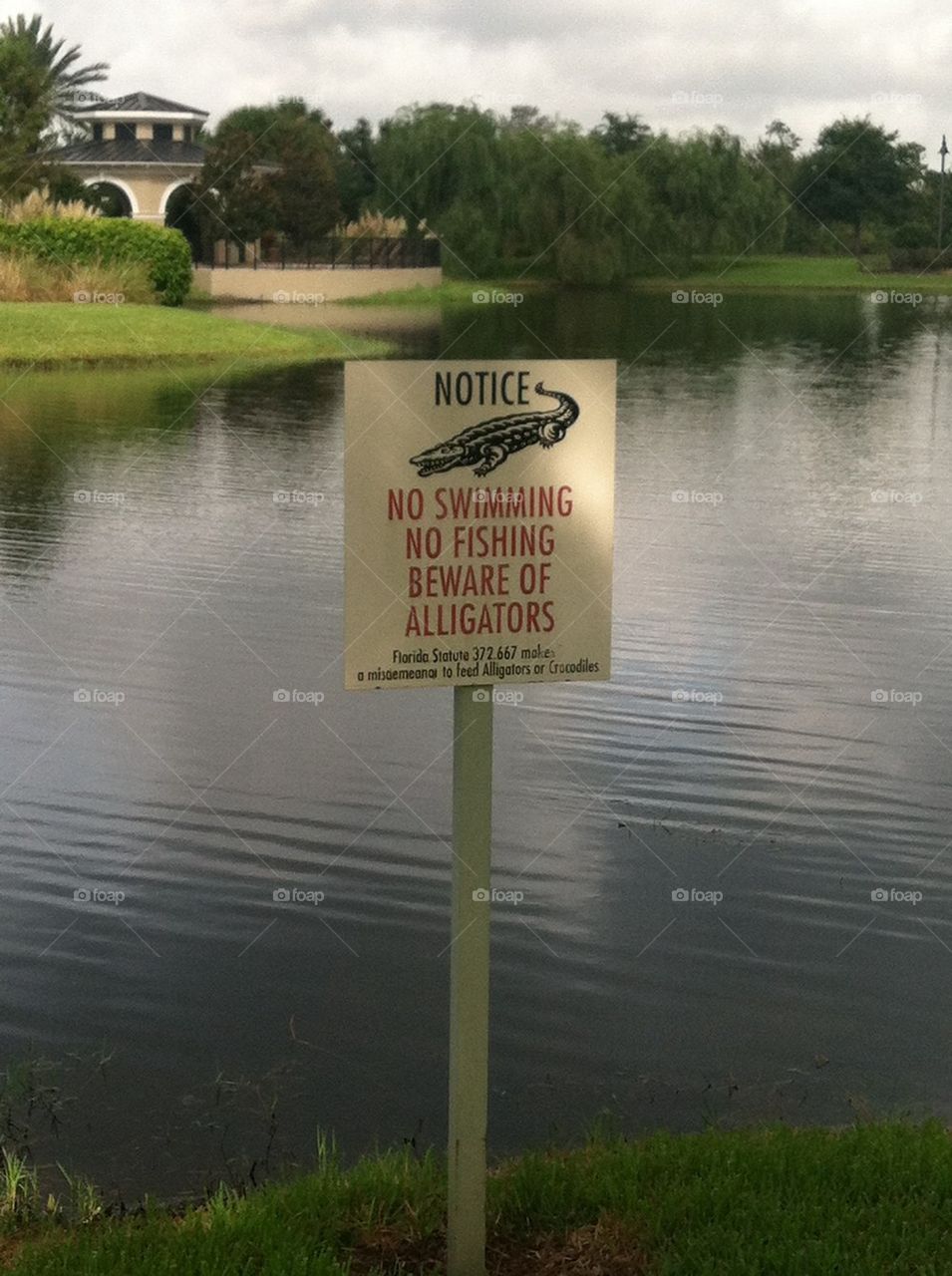 Gator sign