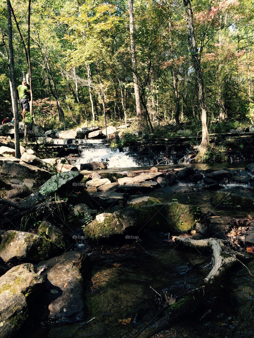 Flowing ravine surrounded by greenery in early fall at Greers Ferry in Heber Springs, Arkansas