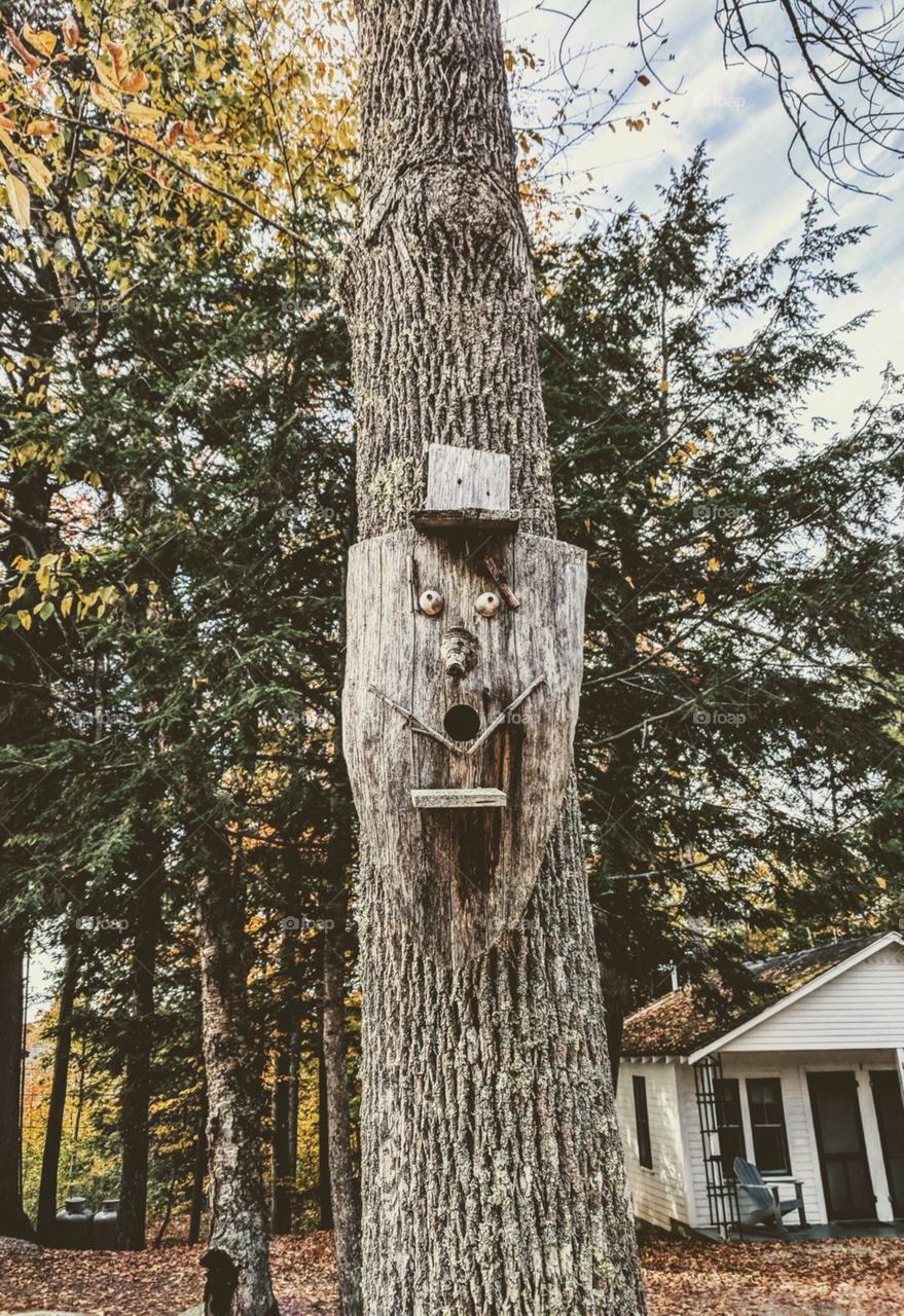 Goofy tree mask