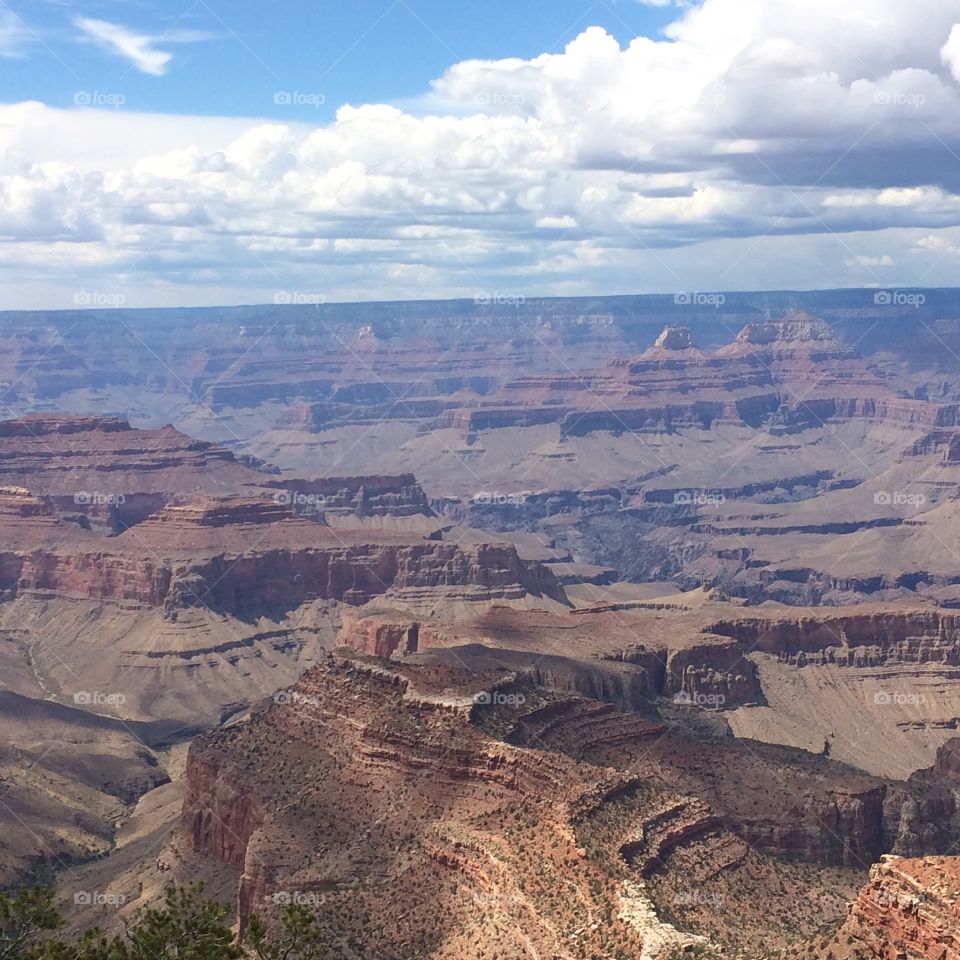 grand canyon view