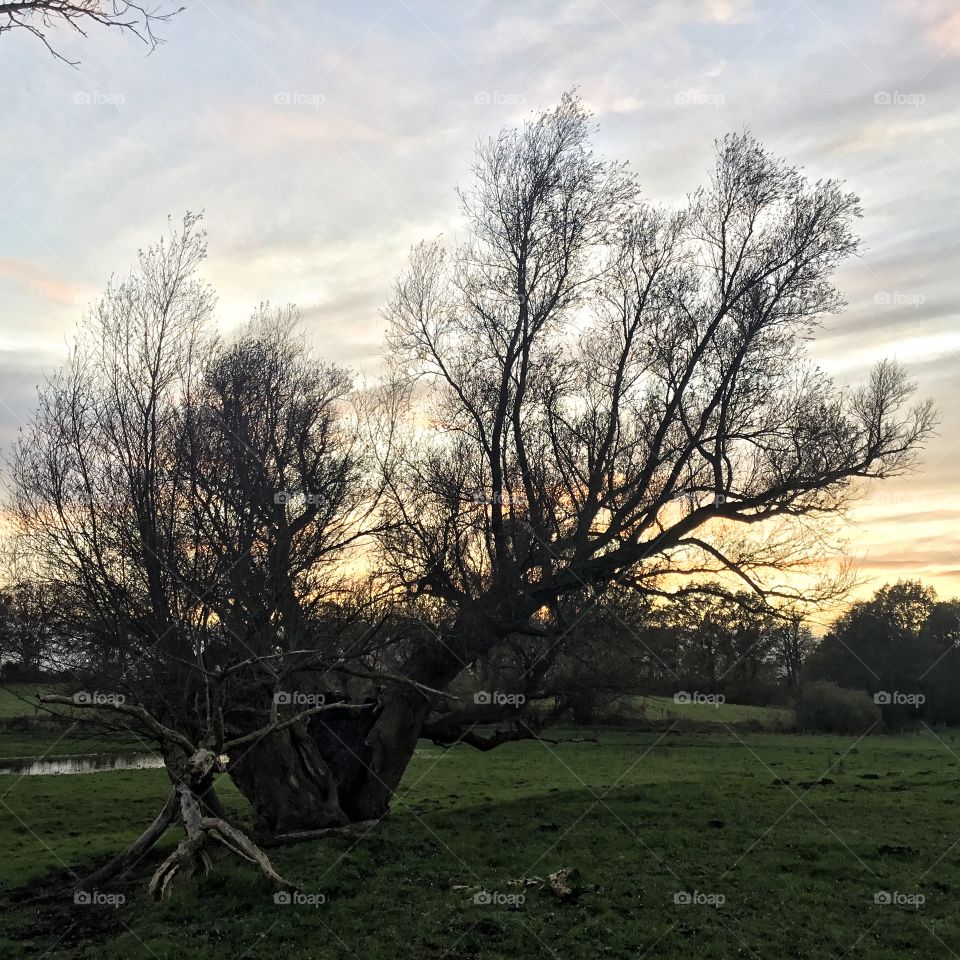 Science needs funding wisdom needs knowledge and observation...