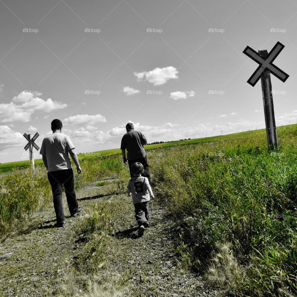 Family walk through the field 