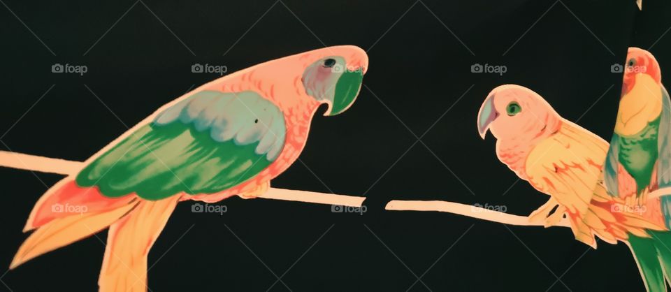 The varieties background.