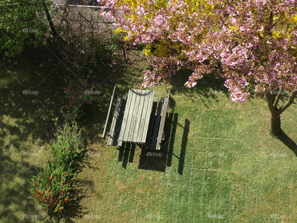 Park bench in spring