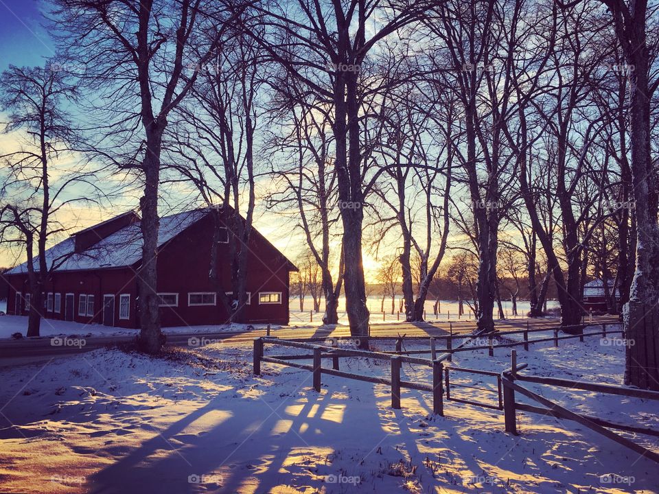 Farm in snowy landscape 