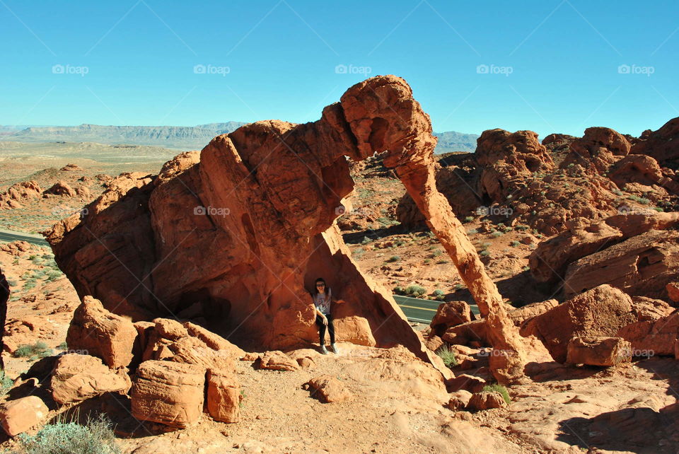 Elephant rock at Valley of Fire, Nevada