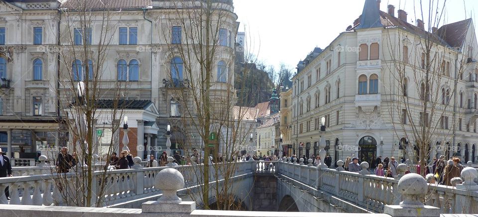 Bridges In Lublyana