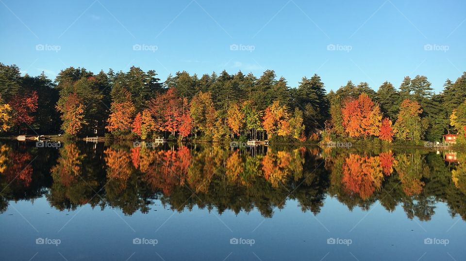 Maine Autumn on Sand Pond