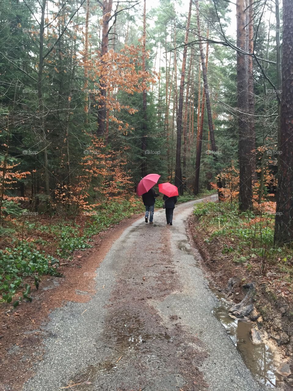 Rear view of people walking on path holding pink umbrella