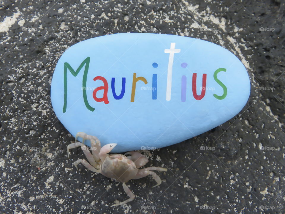 Stone souvenir from Mauritius island with a crab  
