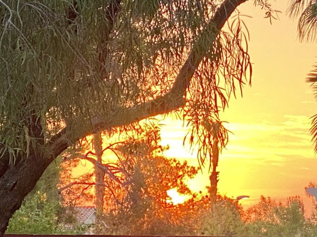 Sunrise 