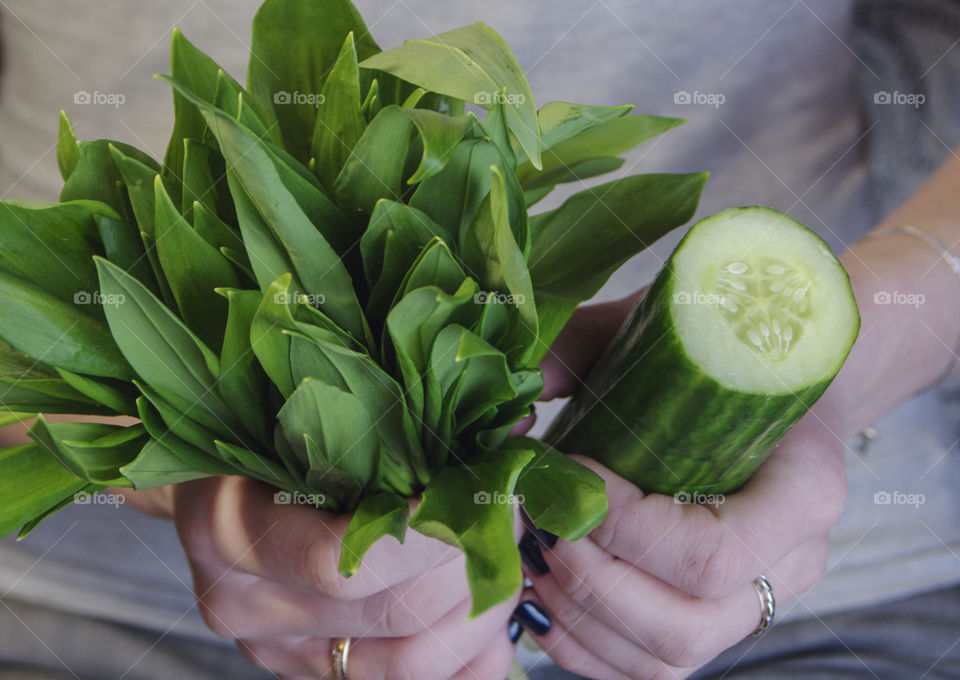 Cucumber and ramson in the hands of a girl