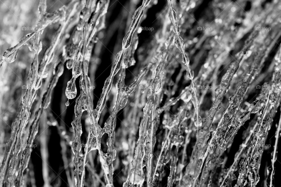 Close-up of icicles on sticks