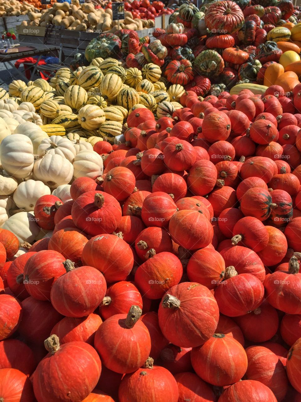 Variety of pumpkins at farmer market