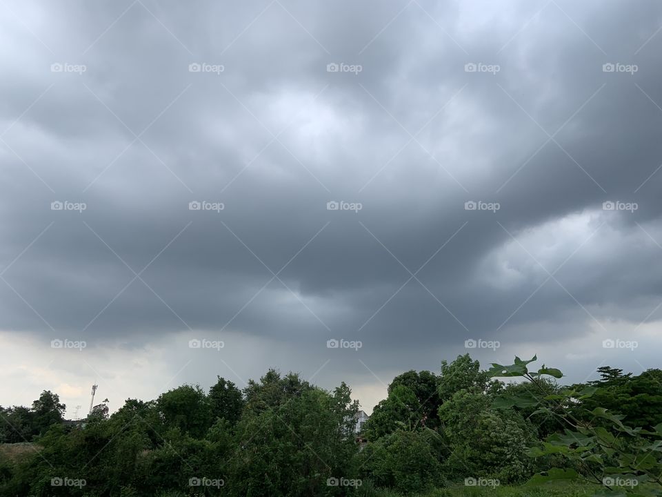 The sings of the rain , Countryside ( Thailand)