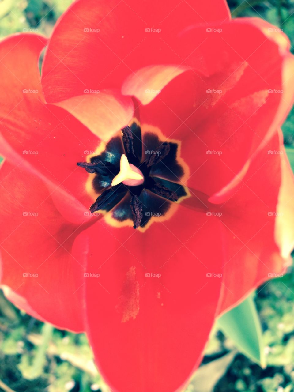 Up close and personal 