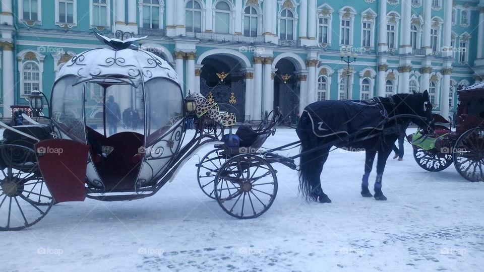 Carriage. Saint Petersburg Palace's square.