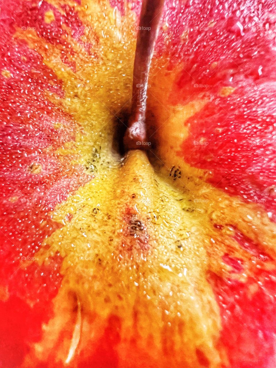 Red apple with dew