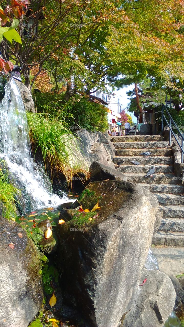 Beautiful lunch spot in Matsumoto