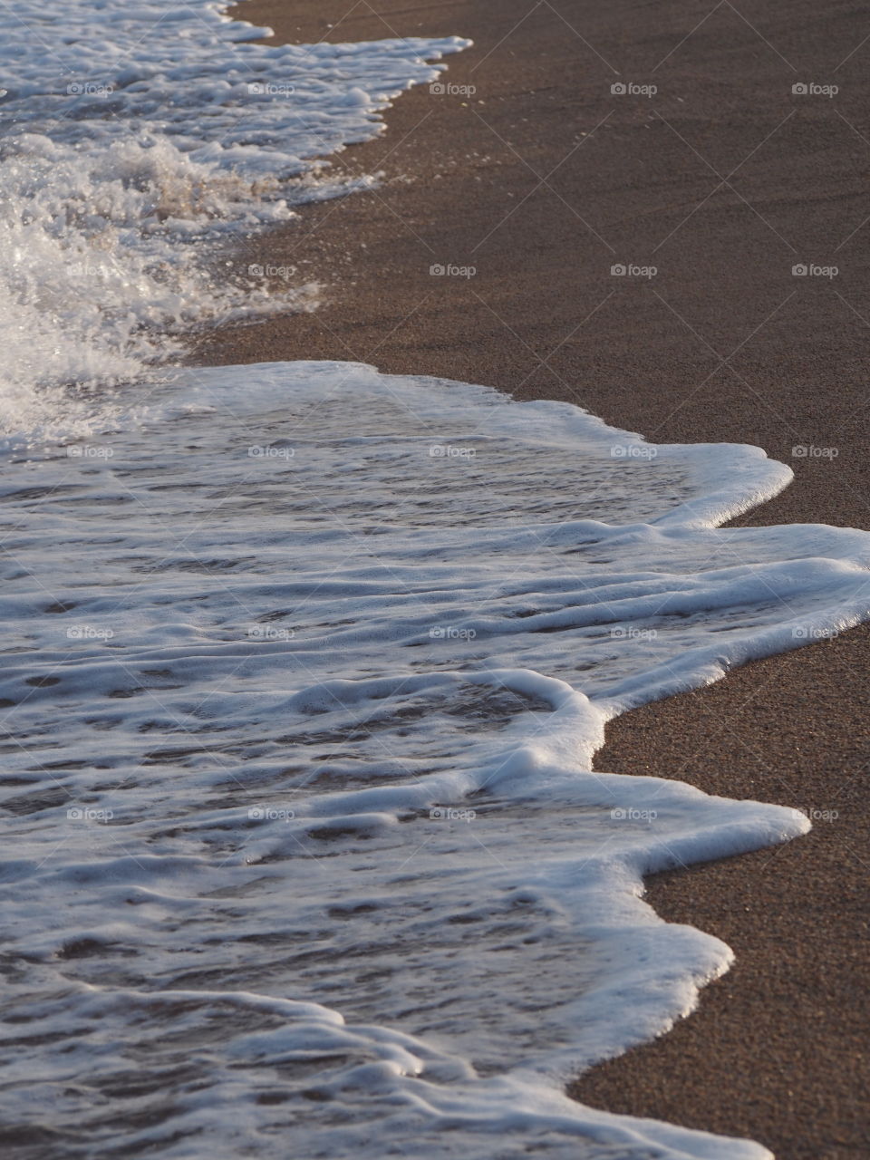 Scenic view of beach