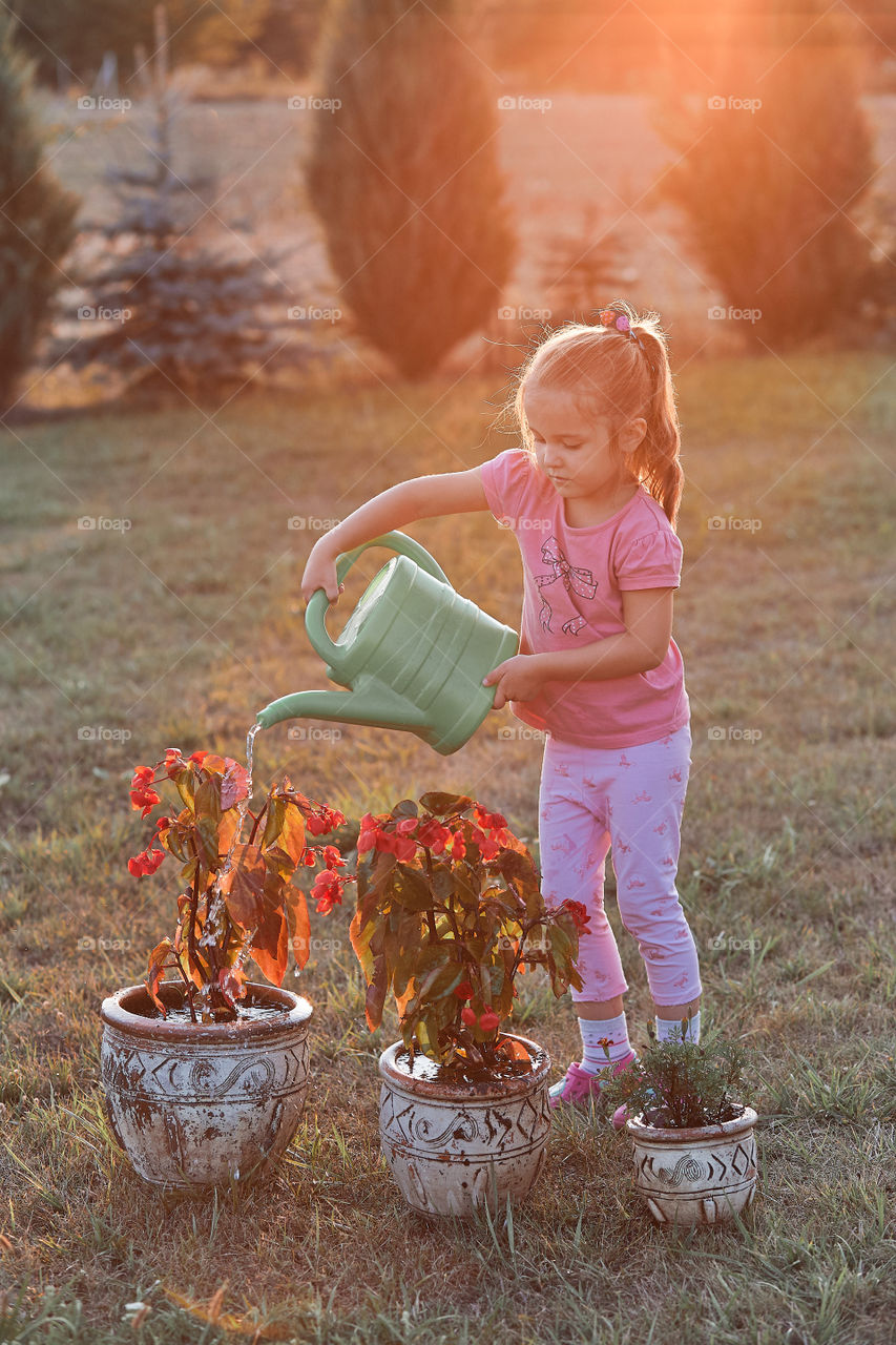 Watering the flowers growing in flower pot, pouring water from green watering can, working in backyard at sunset. Candid people, real moments, authentic situations