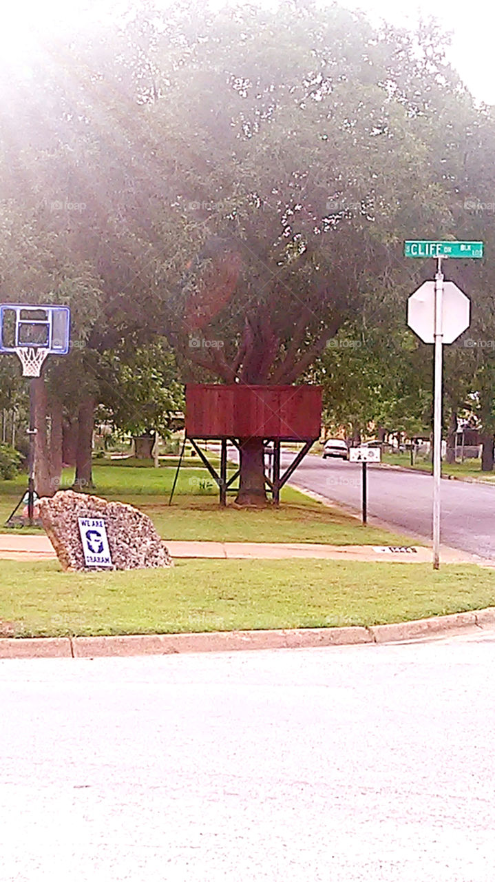 fort cliff rd.. this is a tree house located on cliff rd.