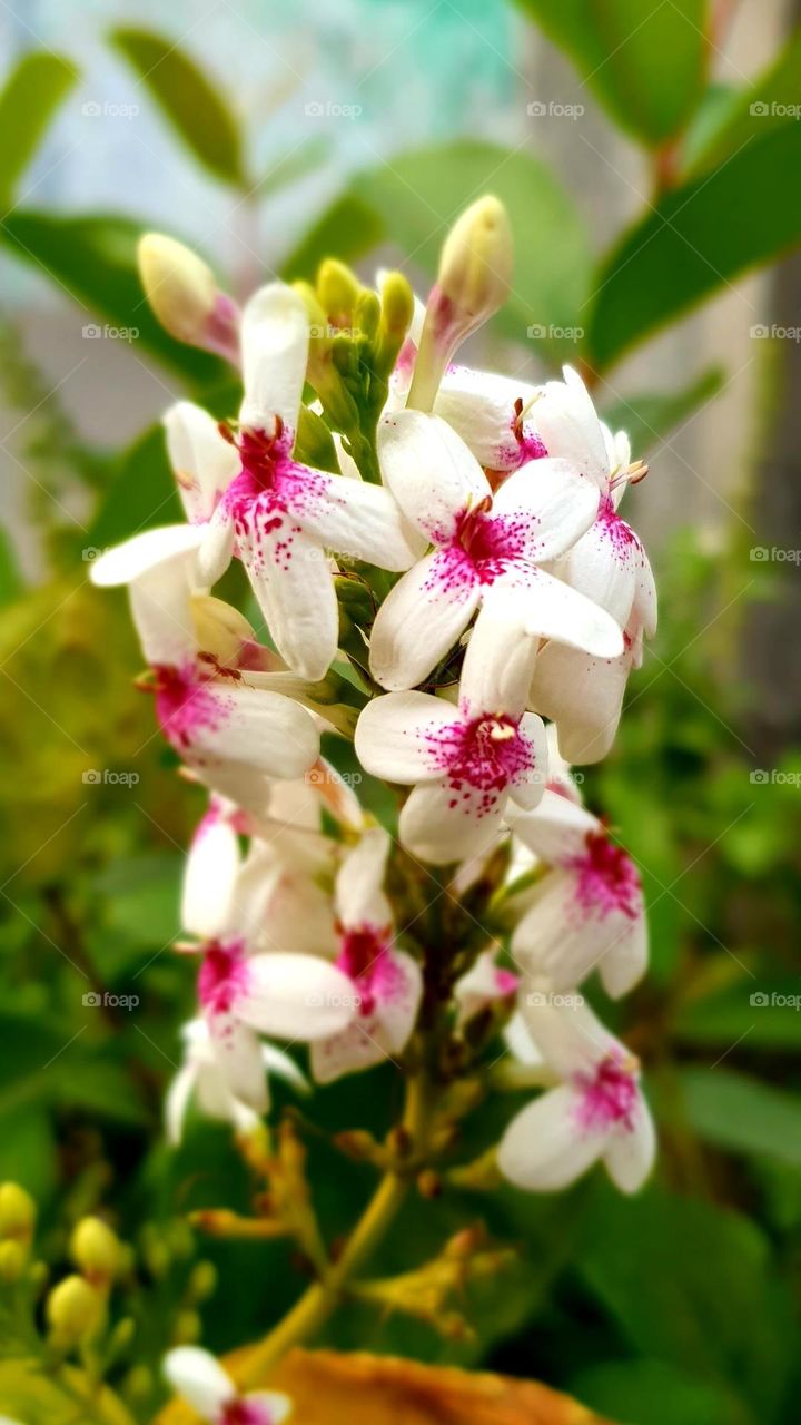 Editors'choice : Photo of the week