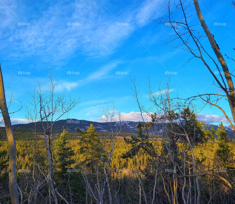 Watching everything come to life in the spring