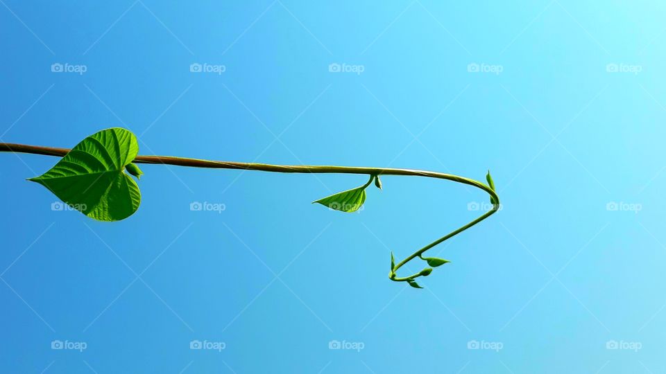 with the beautiful sky background