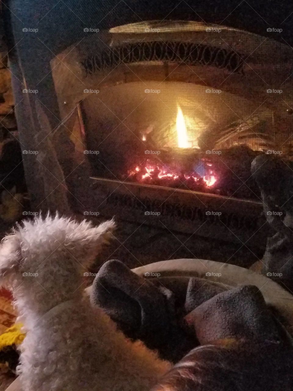 White poodle sitting in bed in front of burning fireplace, figurines on either side. He's looking at the fire.