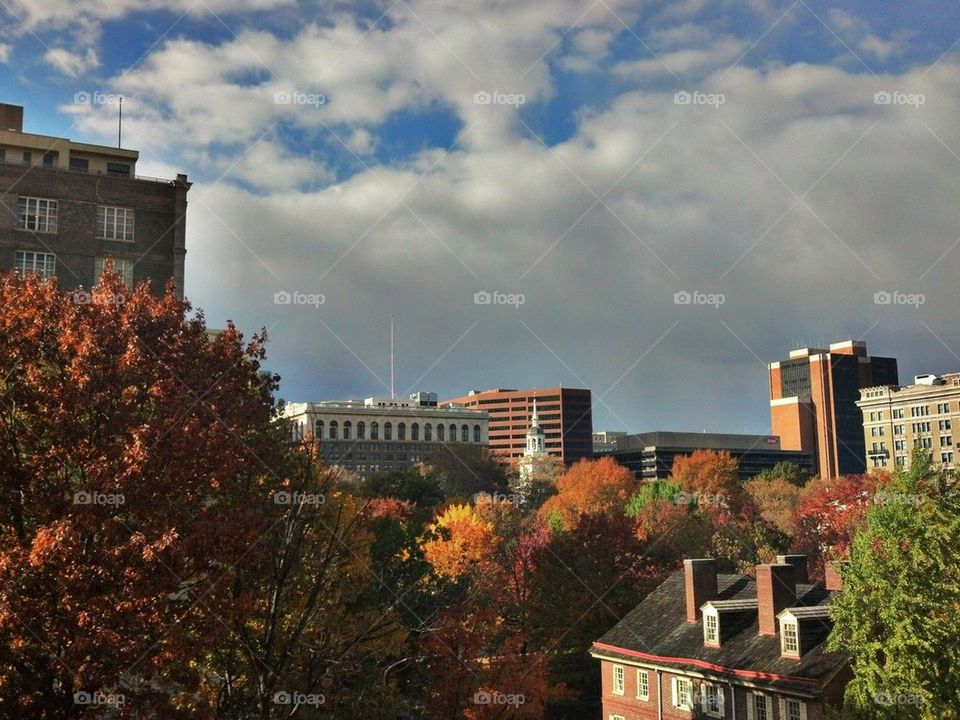 Philadelphia Fall