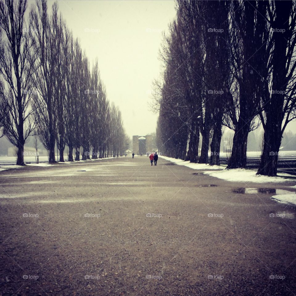 Winter fog at Dachau concentration camp in Germany 